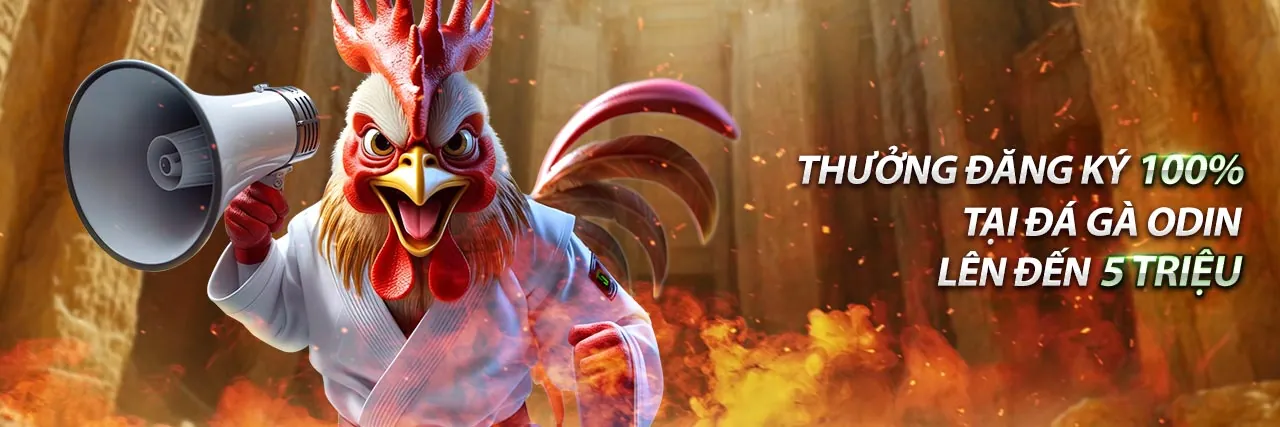 Ưu đãi đăng ký thành viên mới tại trang đá gà thomo uy tín
