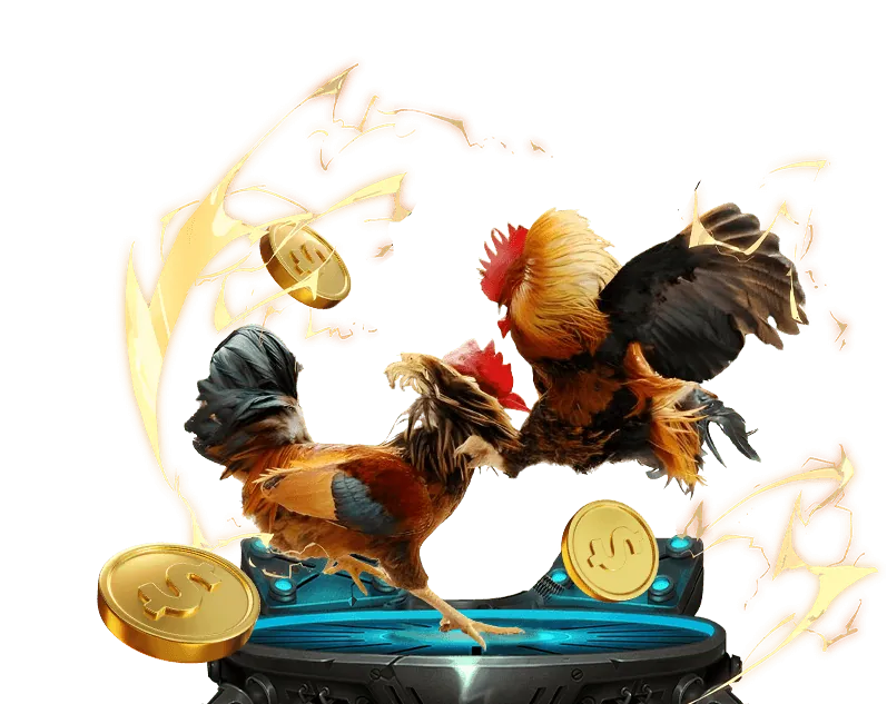 Chất lượng trực tiếp đá gà Thomo