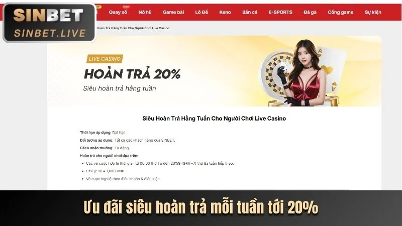 Hoàn trả hàng ngày tại sòng bạc trang đá gà Thomo uy tín
